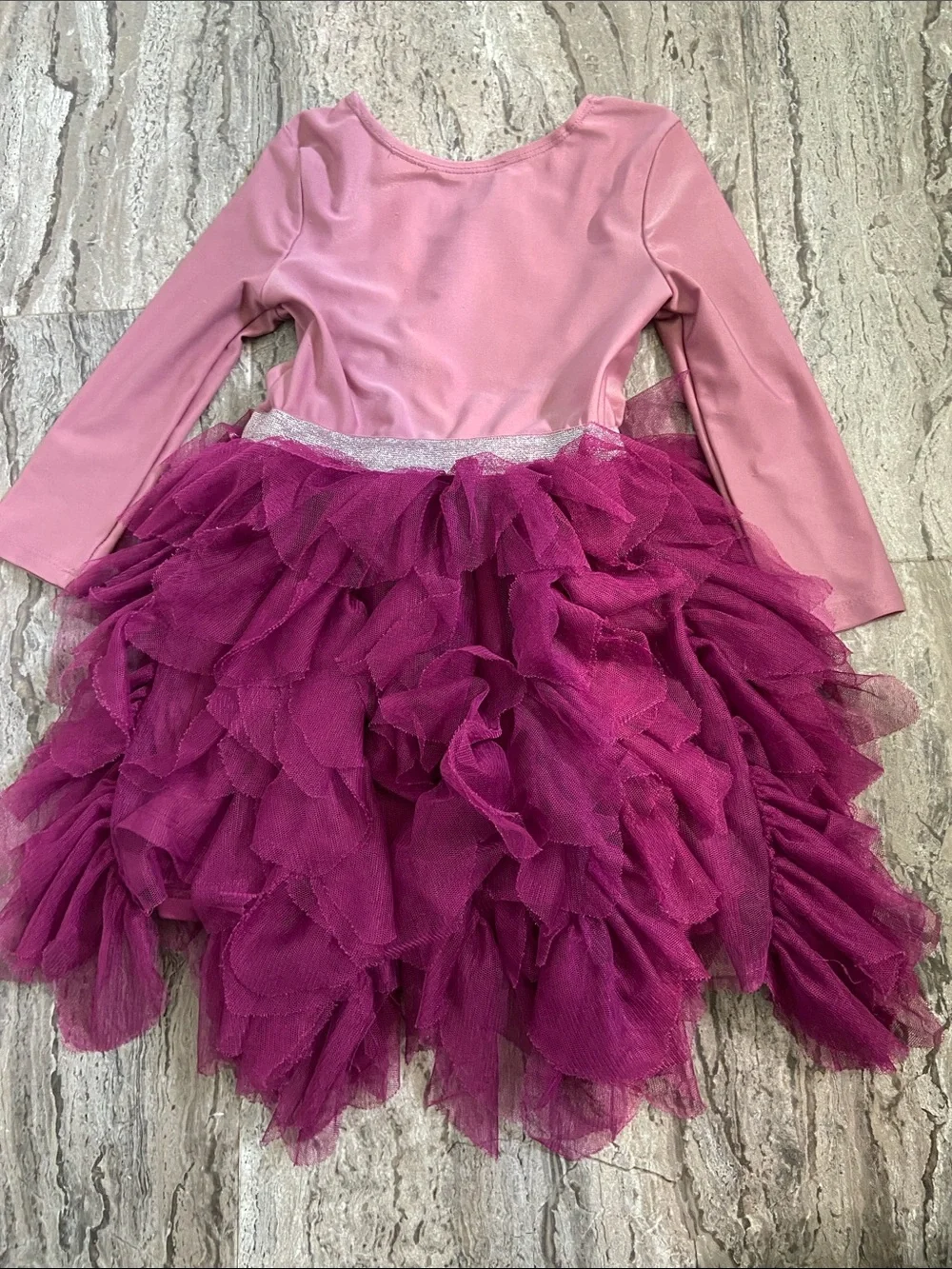 Disney Pink and Magenta Elsa Tutu Dress Costume